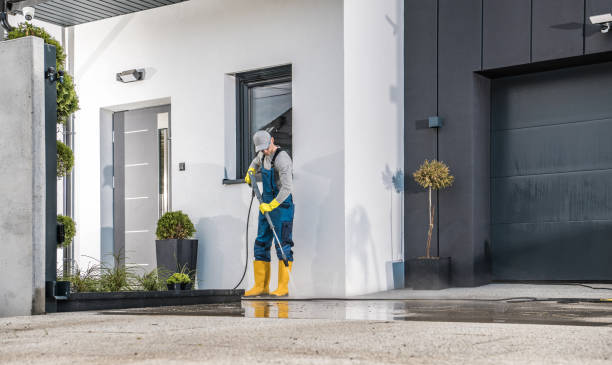 Best Pre-Holiday Cleaning  in Albany, IN